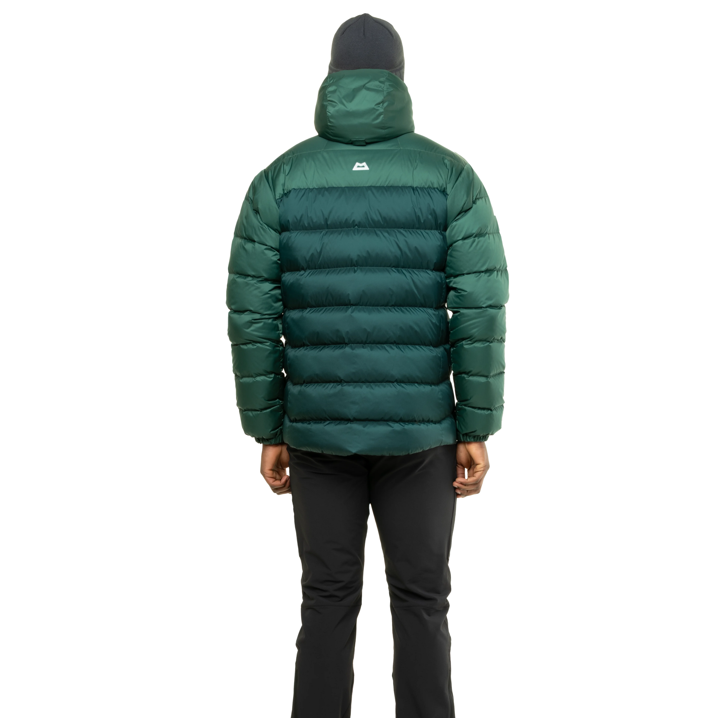 ME-01849 Pine/Fern