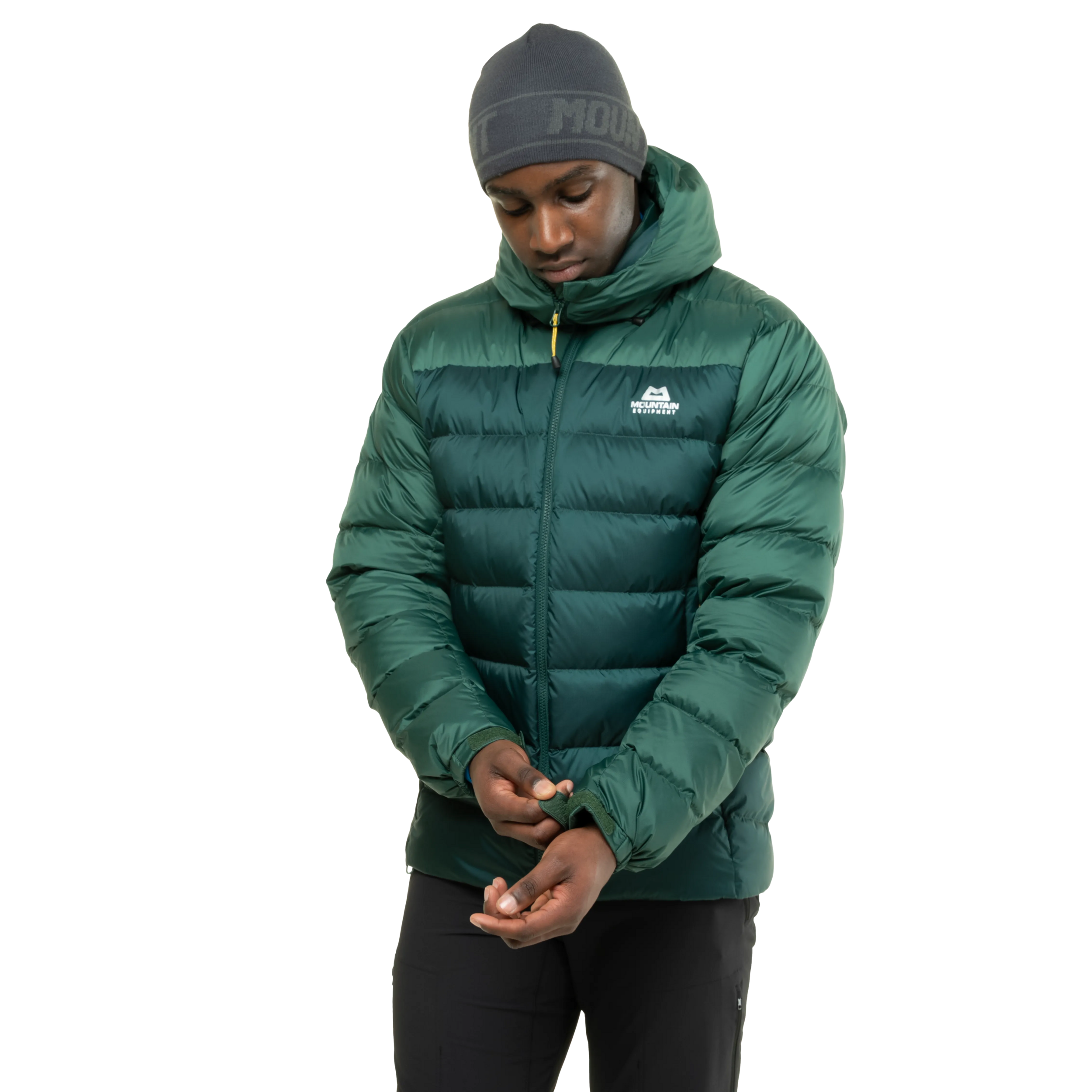 ME-01849 Pine/Fern