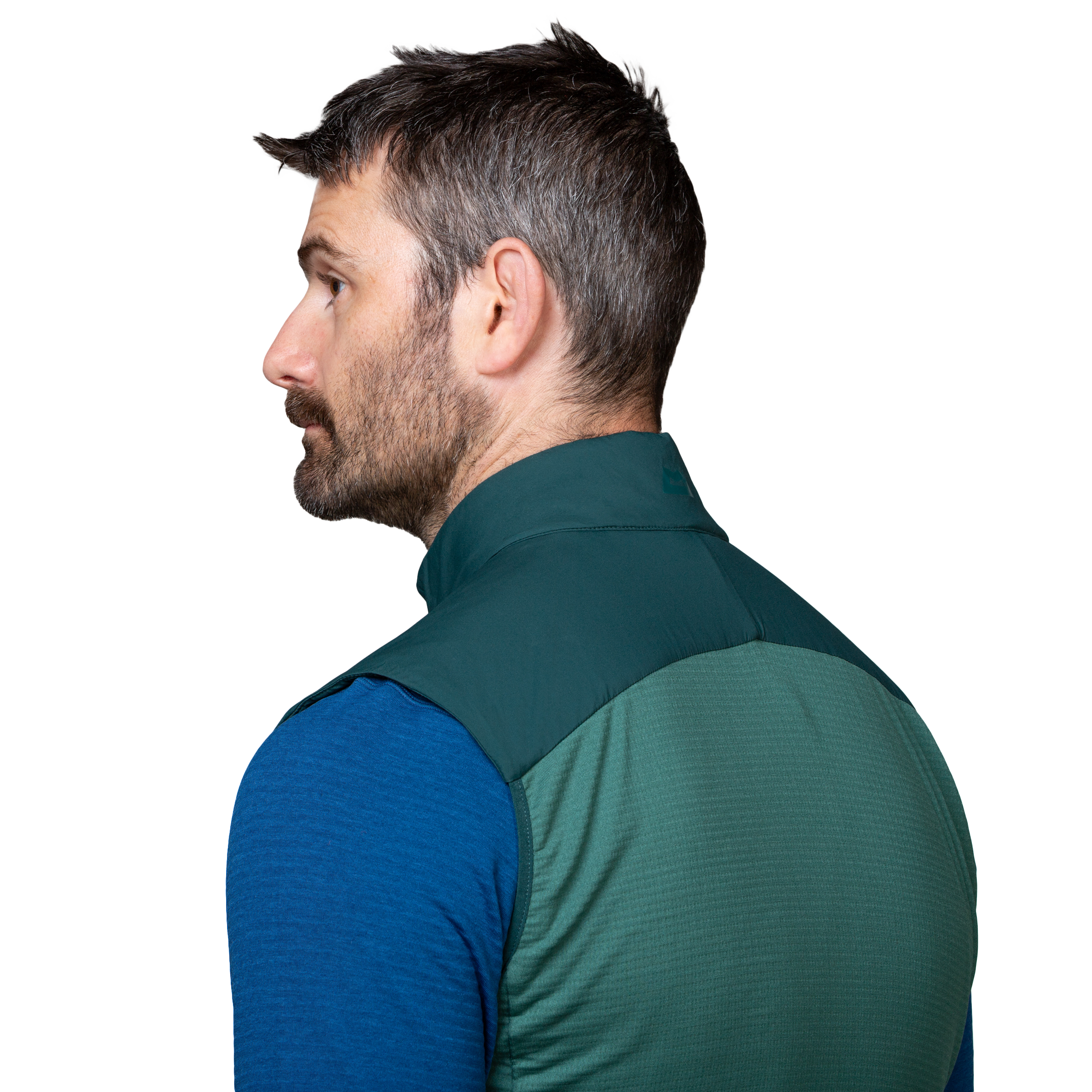 ME-01849 Pine/Fern