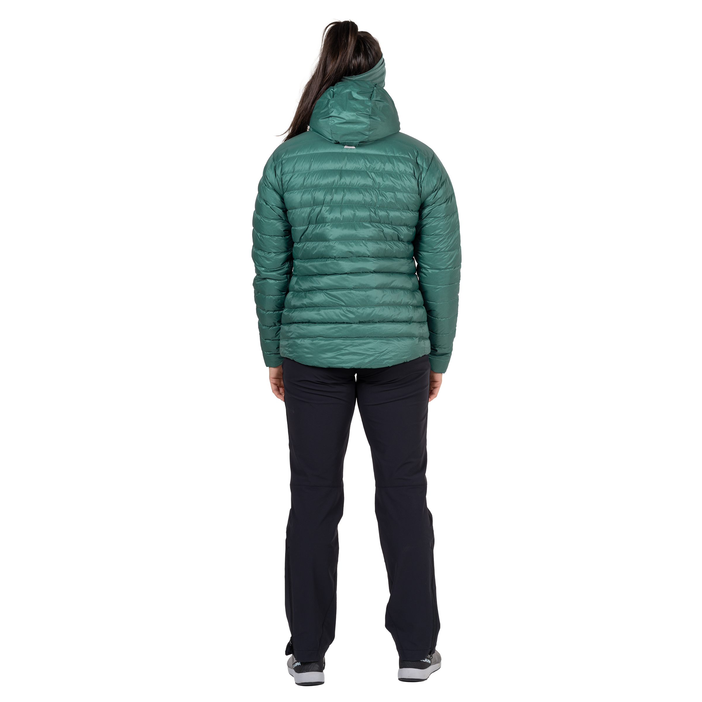 Me-02283 Sea Pine