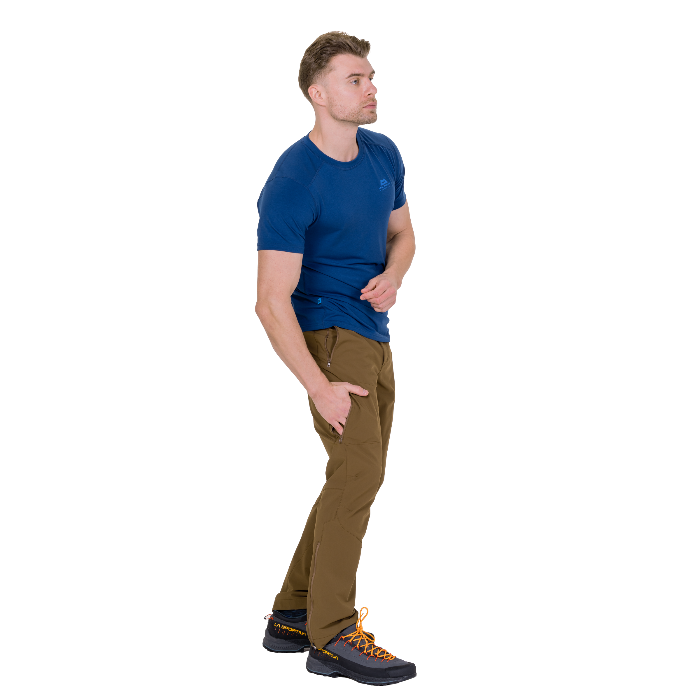 ME-02231 Desert Palm