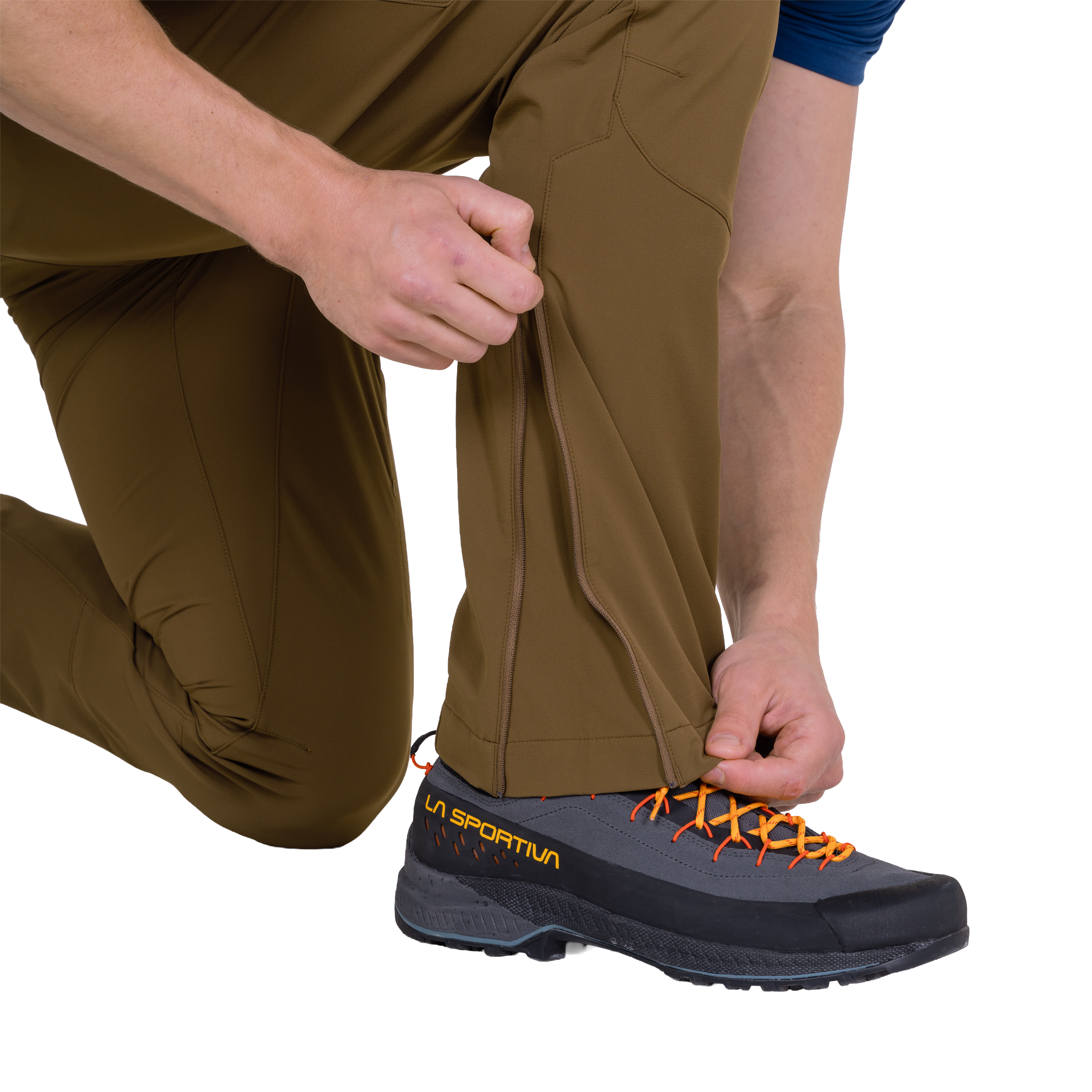 ME-02231 Desert Palm